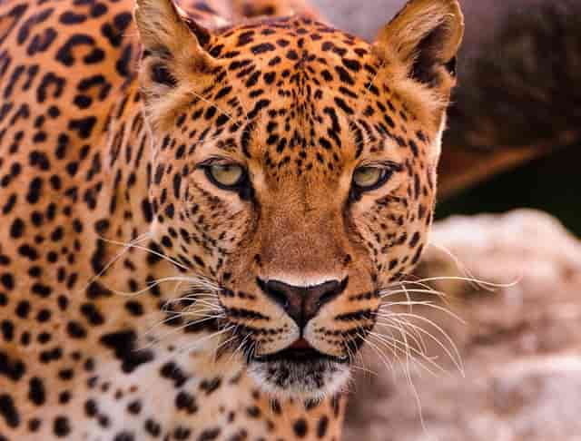 北京中学小学好还是中学