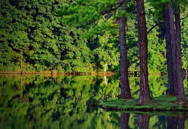 向太郭碧婷向佐图片