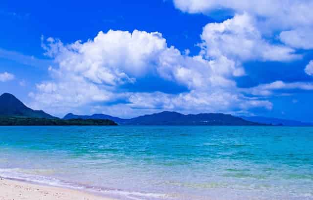 回复问候语视频(回复问候语及关心话)