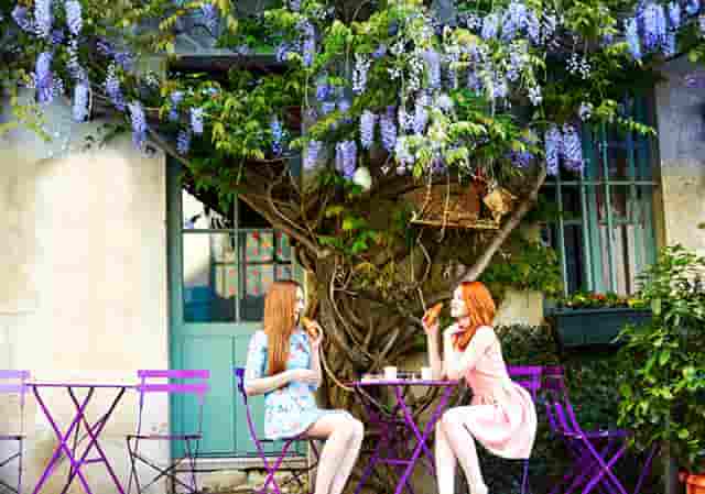 道路是否可以封(道路运输)