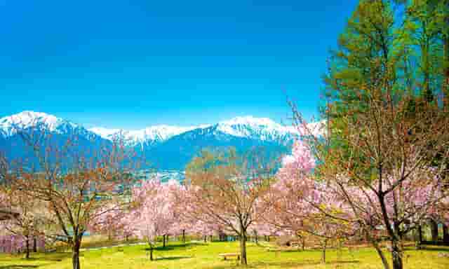 召开专题会议营商环境