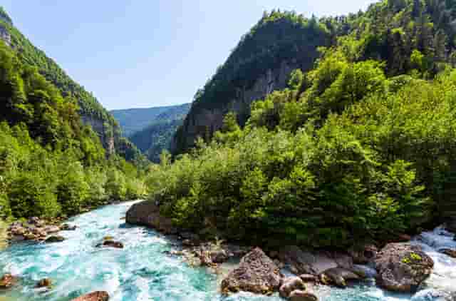 解决怀孕八个月结婚为什么要喝都得醉(结婚八个月了为什么还没有怀孕)
