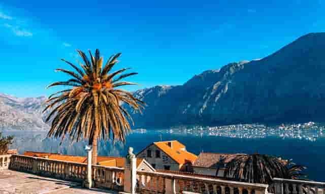 中医药产业的合作(浙江中医药产业集团)