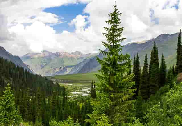 仲景牌药业(仲景食品和仲景药业)