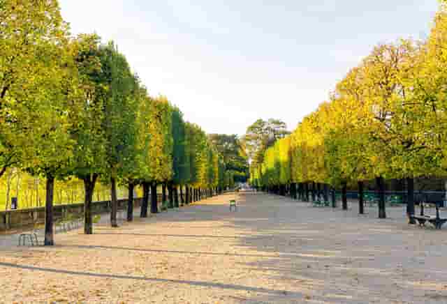 中日女篮决赛队员得分情况