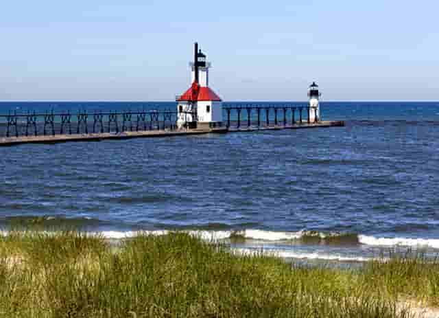 袖虎病猫攻略：感染绦虫怎么办？