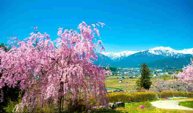 境内疫情形势(形势与政策疫情)