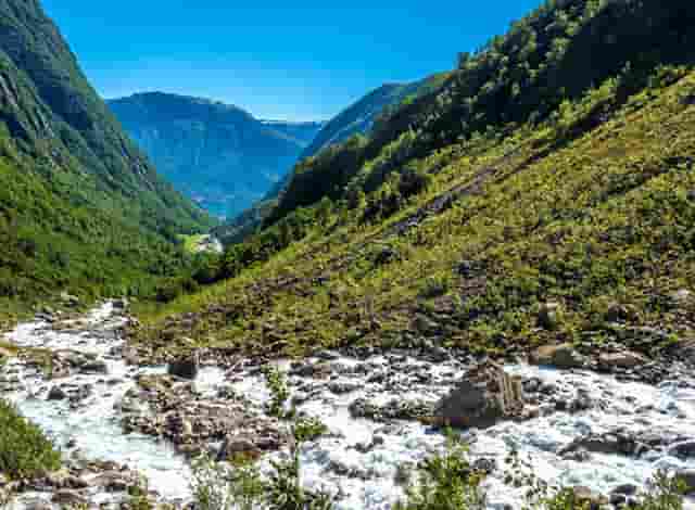 本届奥运会中代表团金牌总数是多少(2020奥运会中国代表团)