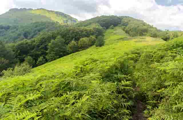 男盆友跟男朋友有区别吗(男朋友和男盆友的区别)