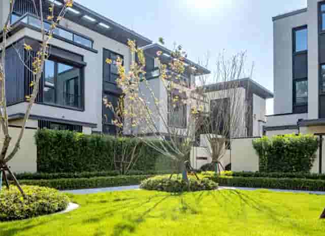 新梦蝶第11节分解